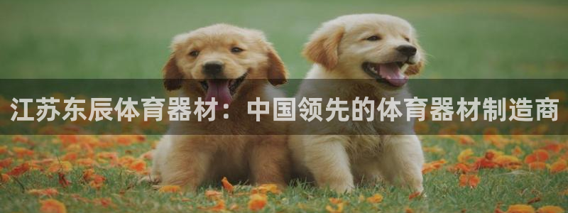 极悦娱乐成7O777：江苏东辰体育器材：中国领先的体