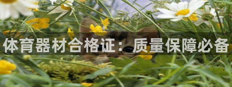 极悦娱乐游戏中心：体育器材合格证：质量保障必备