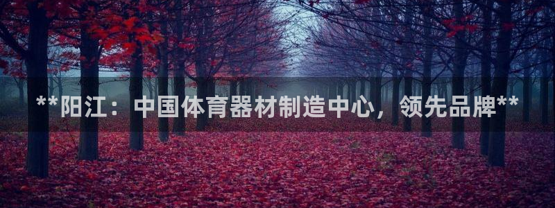 极悦娱乐公司最新招聘信息网：**阳江：中国体育器材制