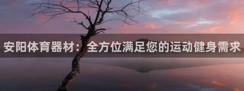 极悦娱乐挂机赚钱是真的吗知乎：安阳体育器材：全方位满