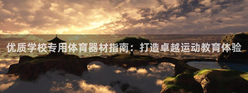 极悦平台注册资金多少亿：优质学校专用体育器材指南：打