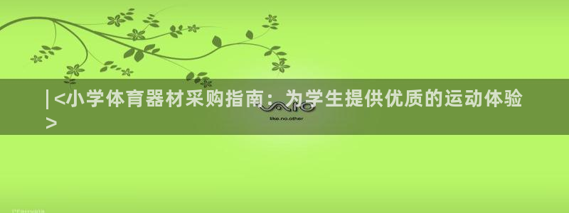 极悦平台安全吗可靠吗：| <小学体育器材采购指南：为