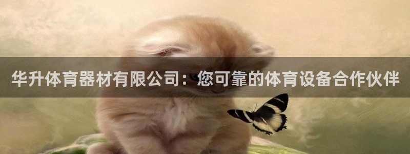 极悦娱乐负责人