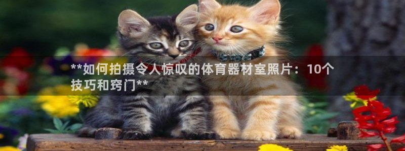 极悦牙膏怎么样好不好：**如何拍摄令人惊叹的体育器材