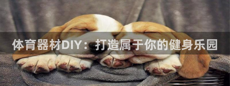 极悦平台注册登录不上：体育器材DIY：打造属于你的健