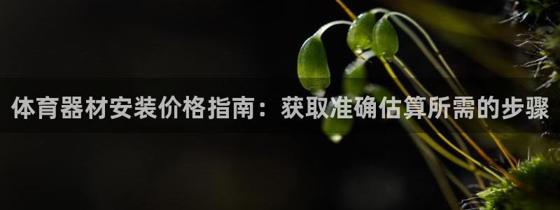 极悦平台登录入口注册账号：体育器材安装价格指南：获取
