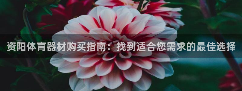 极悦平台注册用户名验证不了：资阳体育器材购买指南：找