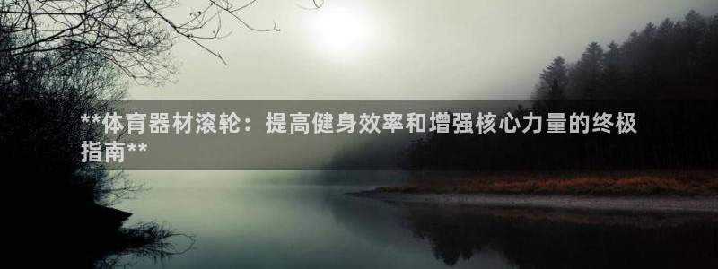极悦平台官方网站首页登录：**体育器材滚轮：提高健身