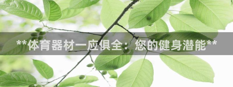 极悦娱乐百科百度：**体育器材一应俱全：您的健身潜能