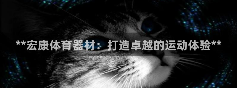 极悦平台官网登录：**宏康体育器材：打造卓越的运动体