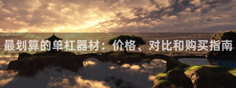 极悦平台官网登录网址是什么：最划算的单杠器材：价格、