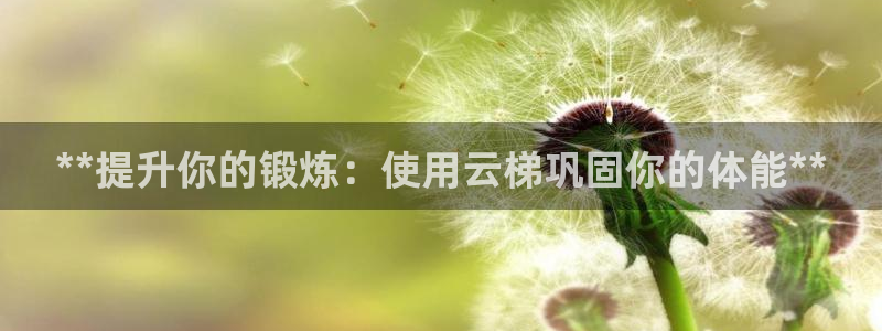 极悦平台注册流程详解图：**提升你的锻炼：使用云梯巩
