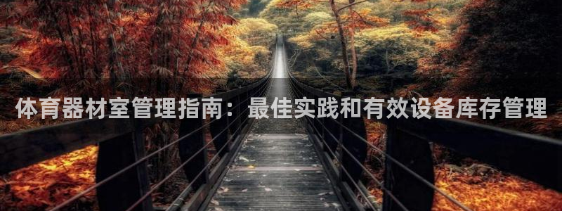 极悦平台注册用户名格式：体育器材室管理指南：最佳实践