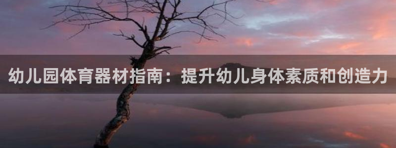 极悦平台注册官方网站下载安卓手机：幼儿园体育器材指南