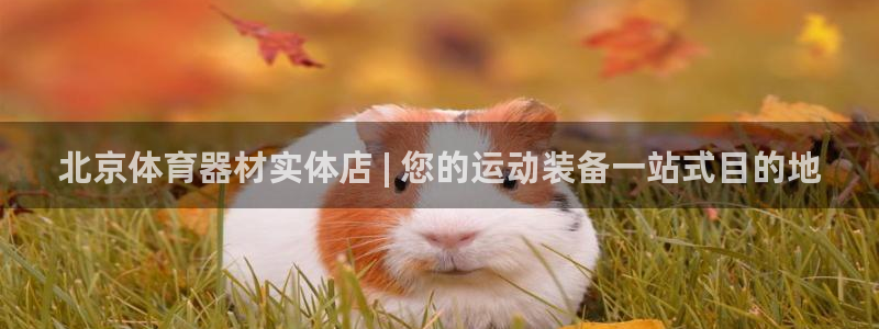 极悦官网下载最新版本更新内容