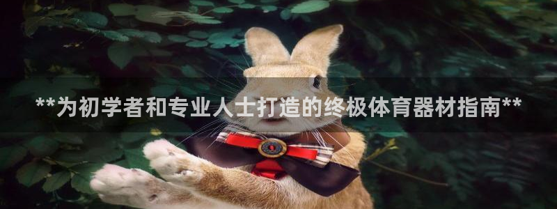 极悦娱乐官网入口下载：**为初学者和专业人士打造的终