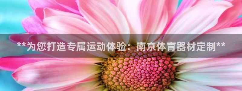 极悦平台注册官网入口：**为您打造专属运动体验：南京