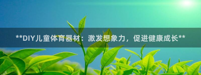 极悦平台注册资金多少亿：**DIY儿童体育器材：激发
