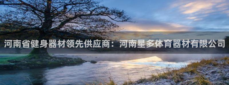 极悦平台注册资金多少：河南省健身器材领先供应商：河南