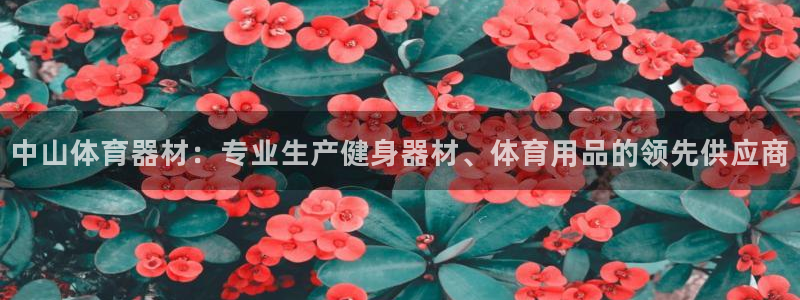 极悦平台注册用户名验证：中山体育器材：专业生产健身器