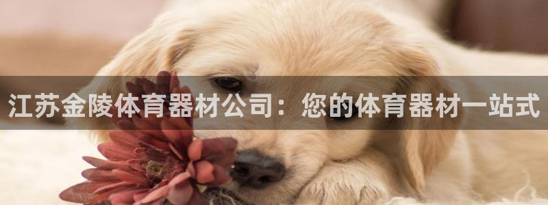 极悦娱乐会被骗吗：江苏金陵体育器材公司：您的体育器材