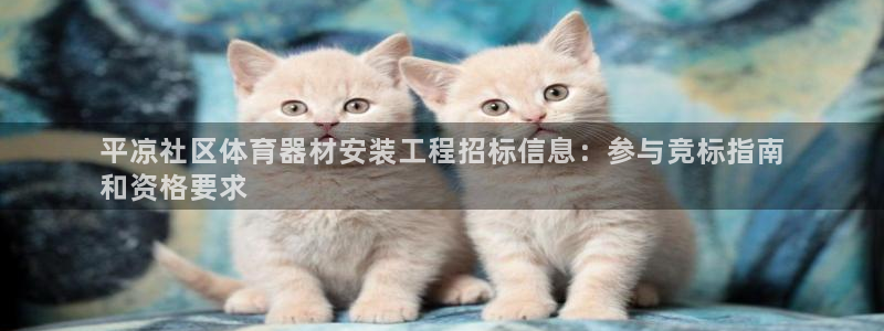 极悦平台注册登录失败：平凉社区体育器材安装工程招标信