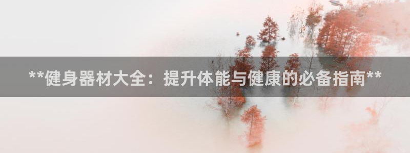 极悦官网旗舰店地址：**健身器材大全：提升体能与健康