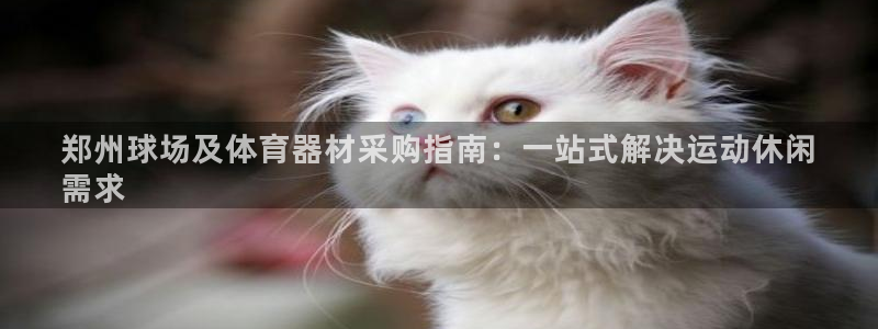 极悦平台官方网址查询：郑州球场及体育器材采购指南：一