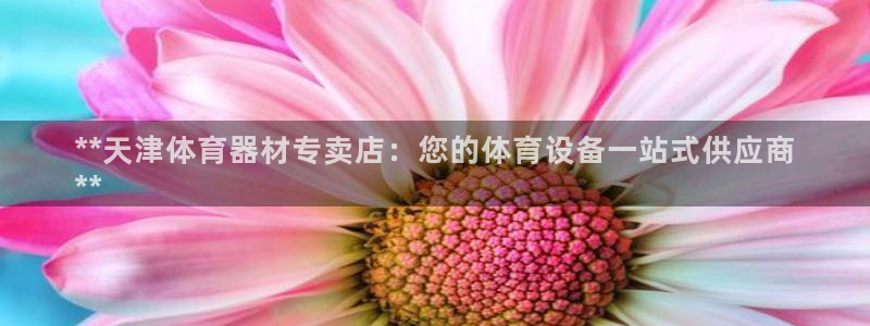 极悦平台创始人背景故事：**天津体育器材专卖店：您的