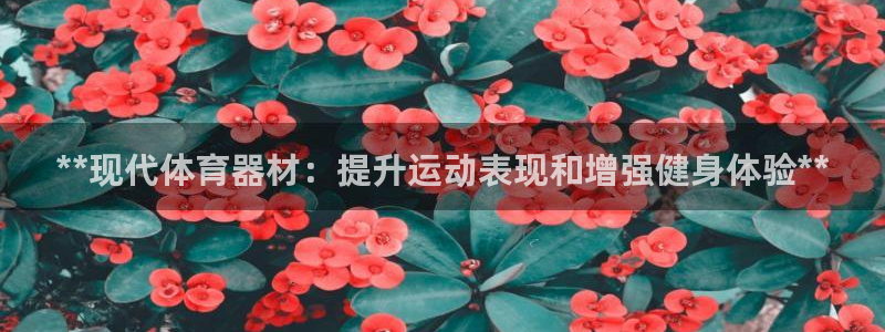 极悦平台方7O777：**现代体育器材：提升运动表现
