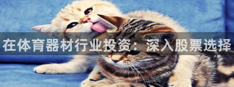 极悦娱乐创始人背景故事简介：在体育器材行业投资：深入