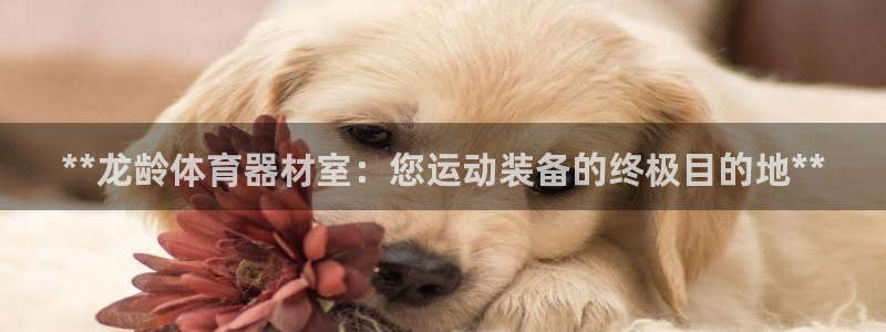 极悦平台官方网址：**龙龄体育器材室：您运动装备的终
