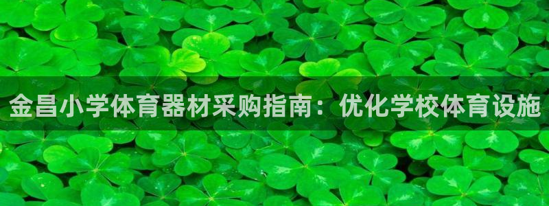 极悦娱乐登录拒绝访问怎么办理：金昌小学体育器材采购指