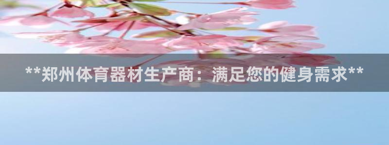极悦娱乐官方网站首页：**郑州体育器材生产商：满足您