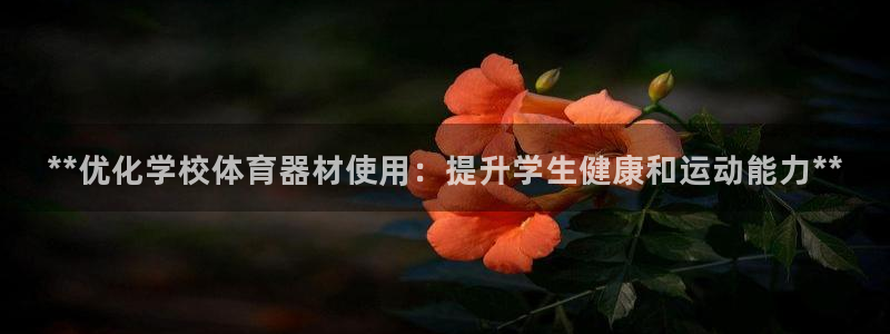 苏州极悦信息科技有限公司：**优化学校体育器材使用：