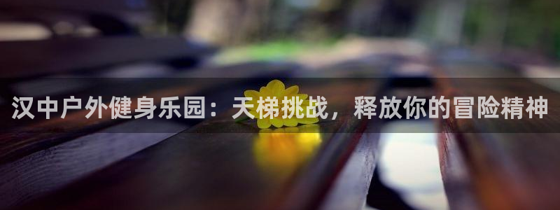 极悦平台是干嘛的公司：汉中户外健身乐园：天梯挑战，释