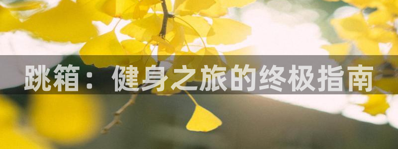 极悦平台是干嘛的：跳箱：健身之旅的终极指南