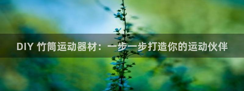 极悦官方网站app下载：DIY 竹筒运动器材：一步一