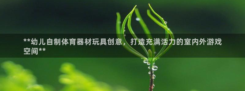 极悦平台登录入口注册：**幼儿自制体育器材玩具创意，