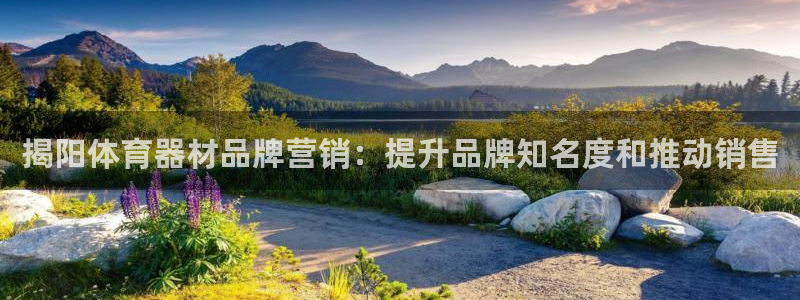 极悦娱乐旗下艺人名单：揭阳体育器材品牌营销：提升品牌