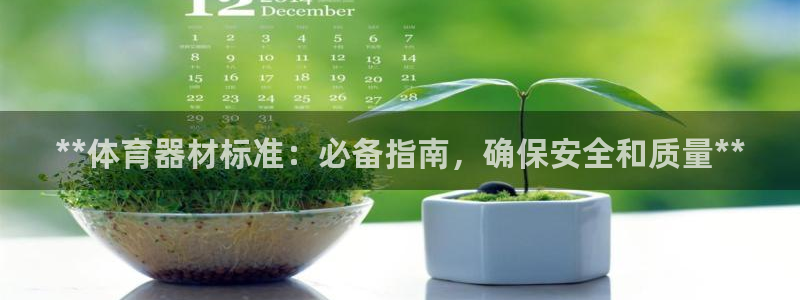 极悦平台反7O777：**体育器材标准：必备指南，确