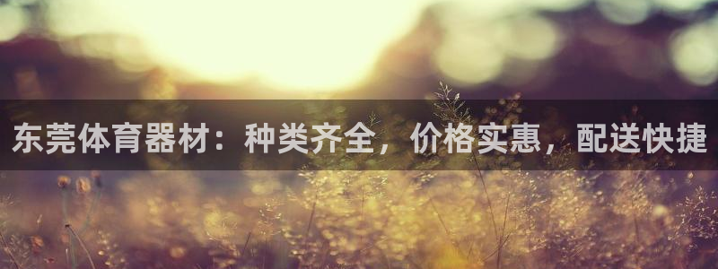 极悦平台注册失败如何解决问题：东莞体育器材：种类齐全