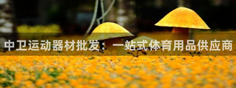 极悦娱乐代理怎么样可靠吗：中卫运动器材批发：一站式体