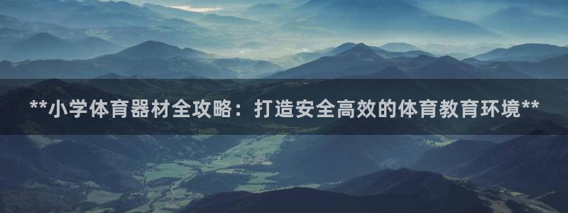 极悦平台安全吗可靠吗：**小学体育器材全攻略：打造安