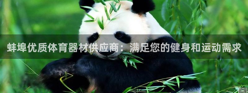 极悦平台家7O777：蚌埠优质体育器材供应商：满足您