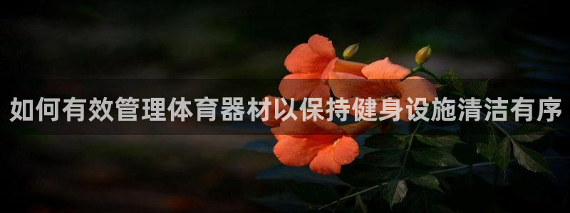 极悦平台是干什么的公司：如何有效管理体育器材以保持健