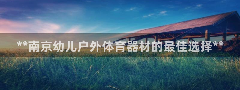 极悦平台注册流程图：**南京幼儿户外体育器材的最佳选