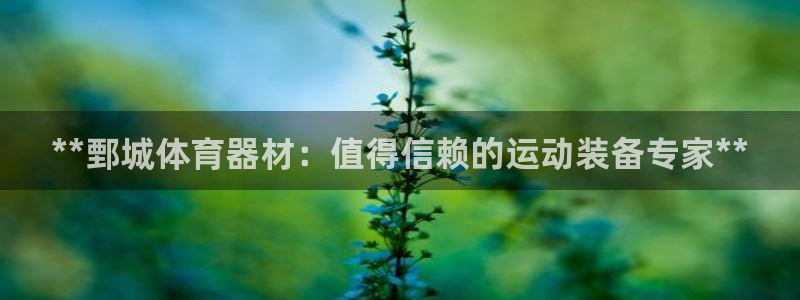 极悦娱乐代理人是谁啊：**鄄城体育器材：值得信赖的运