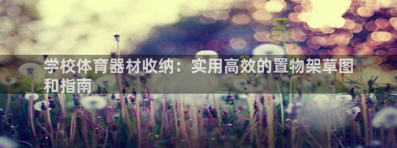 极悦平台登录最新版本更新内容在哪：学校体育器材收纳：