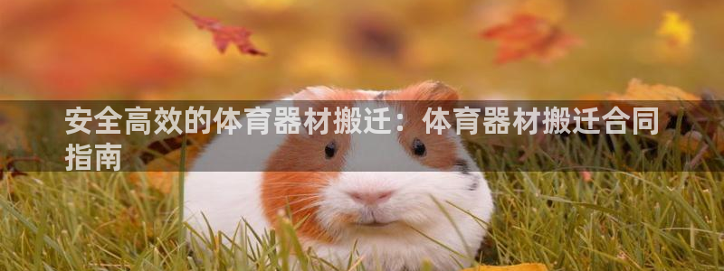 极悦娱乐的内部员工福利：安全高效的体育器材搬迁：体育